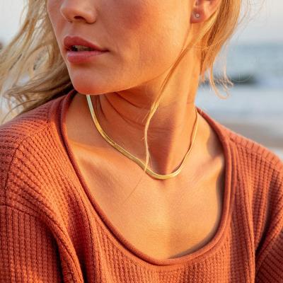 China Hot Selling Environmentally Friendly Minimalist Hip Hop Women Statement 14k Gold Plated Jewelry Stainless Steel Snake Choker Necklace Flat Chain for sale