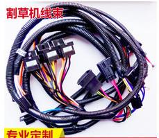 China OEM auto ECU cable auto harness with waterproof automotive wire assembly en venta