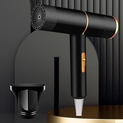 China Travel Dryer Ionic Lightweight Hot Tools 2 Ionic Heat/Speed Settings Dryer Includes Concentrator Hair Dryer for sale