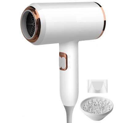 China New Design Fast-drying Professional Ionic Silent High Speed Hair Dryer Electric Hair Dryer for sale