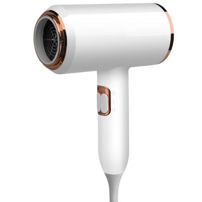China 2200W 2 Speed Ionic Blue Ray Negative High Power Negative Ion Hair Care Hair Dryer Salon Hair Dryer Machine for sale