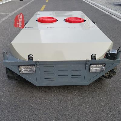 China 300L Capacity Remote Control Sprayer Farming Agricultural Unmanned for sale