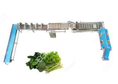 Κίνα CE Certified Stainless Steel Automatic Leafy Vegetable Washing Line Vegetable Processing Plant προς πώληση