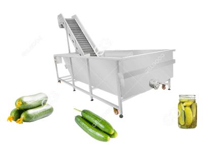Chine Machine de développement de concombre de joint de lavage industriel de concombre pour le concombre sec par concombre mariné à vendre