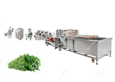 China Cadena de producción industrial del polvo de la hoja de Moringa en venta