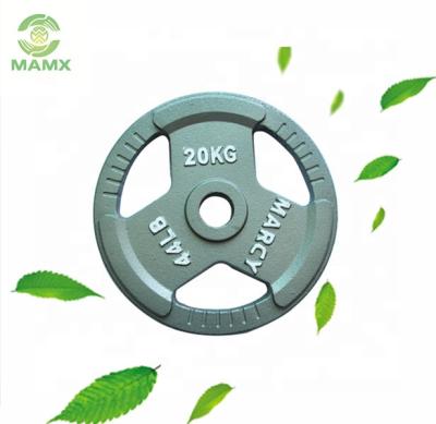 China Bodybuilding Fitness Cast Iron Barbell Weightlifting Paint Dishes With Hand Grips for sale