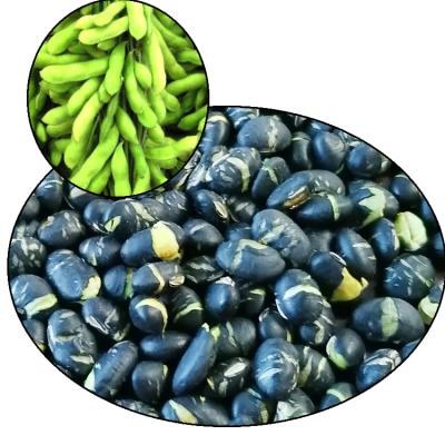 China Wholesale Dry Organic Roasted Black Beans for sale