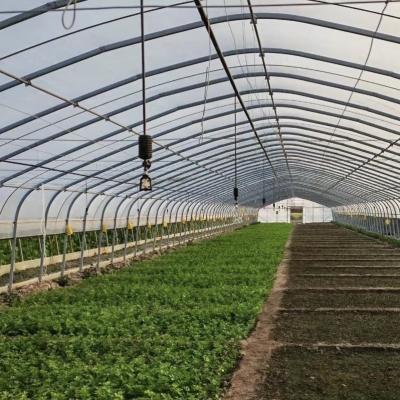 China Reembolsos de devolução convenientes para o nosso Kit Inovador de Estufas de Túnel de Irrigação por Gotejamento à venda