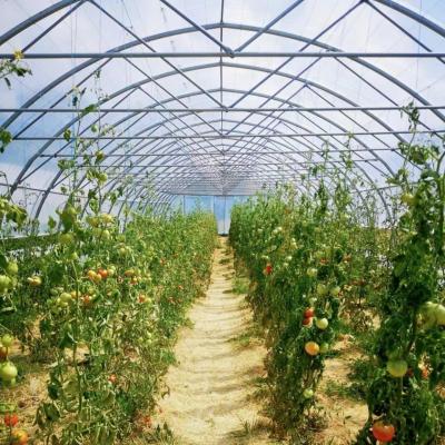 China Estufa de túnel de arco único grande JX-A00182 para a produção de vegetais durante todo o ano à venda