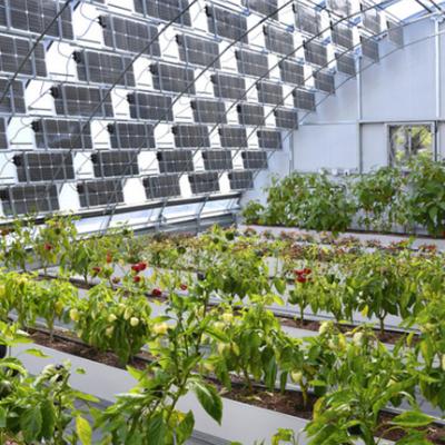 China Commerciële kassen voor PE/Po-plastic film fotovoltaïsch systeem voor duurzame landbouw Te koop