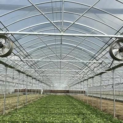 China Estufas multi-espans com tecnologia avançada 50.00cm * 60.00cm * 50.00cm à venda