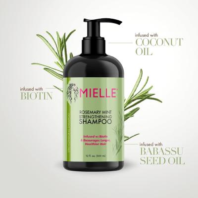 Китай Очищает очищающий розмариновый мятный шампунь для слабых хрупких волос OEM продается