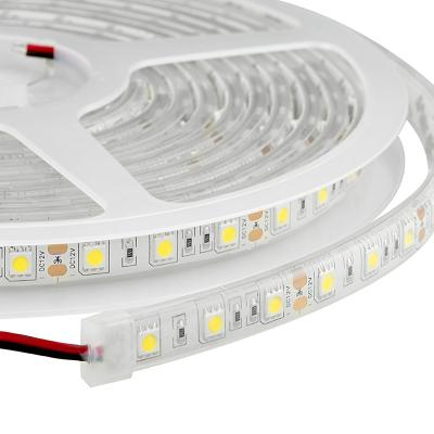 Cina Impermeabilizzi Ip67 5050 il nastro principale Rgb flessibile su luminoso bianco 110V - 240V in vendita