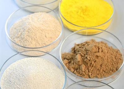 Cina Neutrale cellulase, Enzima industriale Nessun inquinamento Migliorare la qualità dei tessuti in vendita