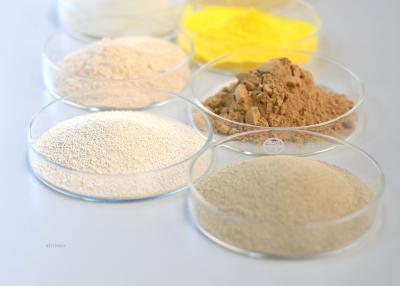 China Enzima de sacarificación de la amilasa maltogénica en venta