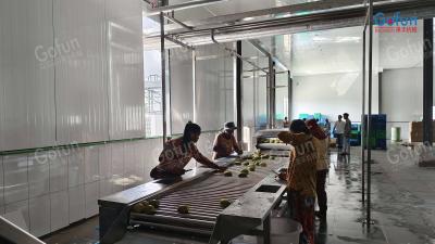 Cina Un set completo di macchine per la lavorazione dell'ananas selezionate da più di 300 aziende in tutto il mondo in vendita