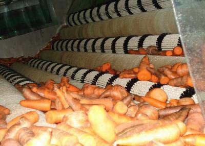 China Industrial Carrot Processing Plant / Stable Carrot Processing Equipment for sale