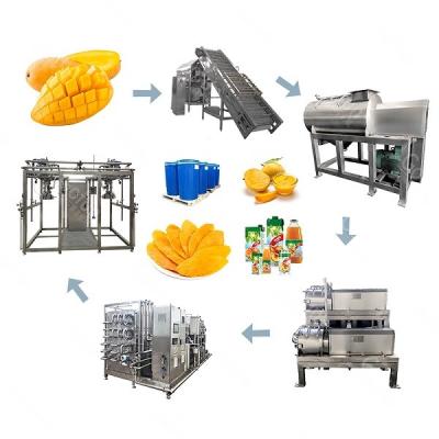 China manga Juice Processing Line Destoning Removing de 220V SUS304 à venda