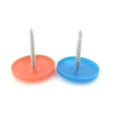 Chine Lissez le diamètre de la jambe 23mm le chapeau qu'en plastique cloue pour la toiture à vendre