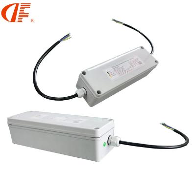 China IP65 10W-60w 180min Waterproof Emergency Lighting System DF LED Emergency Power Supply for sale