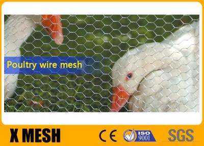 China Cerca de alambre de acero inoxidable ácida de pollo de la resistencia 20Ga Poultry Netting en venta