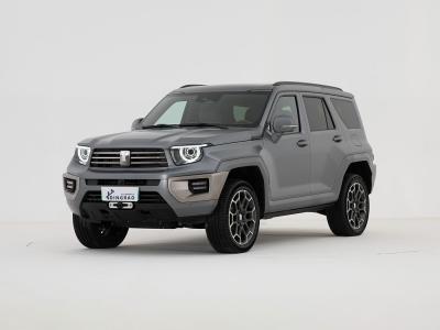 中国 高速 1950Kg ライジング オート 505km マーベル R スマート 電動車 SUV EV 車 販売のため