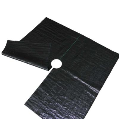 China Agricultural Cultivation pp Woven Weed Control Mat Agricultural Black Plastic Gardening Plant Cover for sale