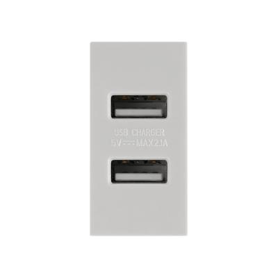 China 45mm*45mm Residential/General Purpose Module Power Socket USB Connector 5V/2.1A Black Switch/Wall Office Fill White for sale