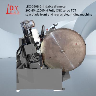 China LDX-020B Custom Woodworking TCT Circular Saw Blade Front And Rear Angle Grinding Machine for sale