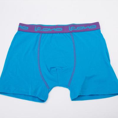 China Brand Logo Boxer Brief Manufacturer Sexy Seamless Striped Antibacterial Good Quality Underwear Custom Boxers For Men for sale