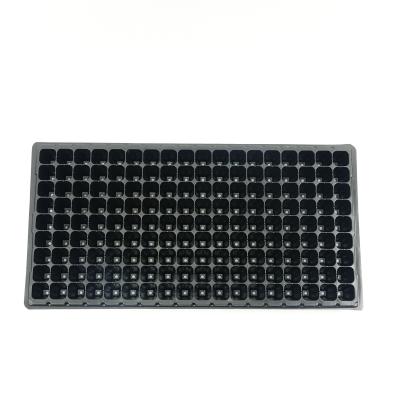China Eco - Friendly Vegetable Seed / Watermelon / Tomato Planting Seedling Seedling Tray 162 Holes for sale