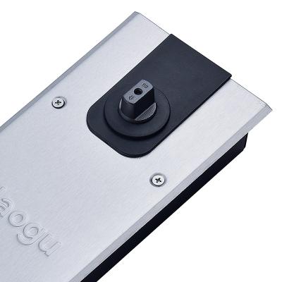 China Modern Cast Iron Steel Floor Spring Glass Hidden Door Closer 2 Speed Floor Adjustable Spring for sale