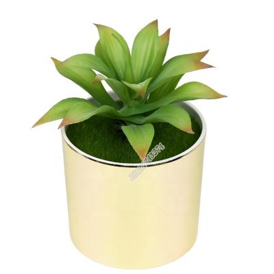 China New style minimalist high quality plastic flower artificial agave succulent plant for decoracion for sale