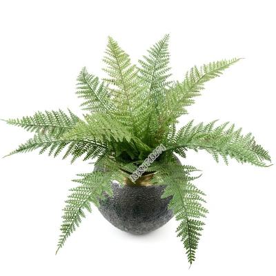 China High Quality Artificial Green Plant 12 Heads Grass Wall Decoration Persian Grass For Decoration for sale