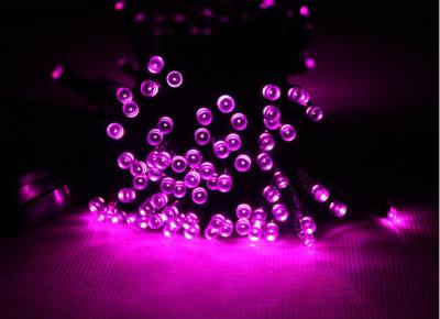 China Colorful LED String light Holiday led lighting for sale