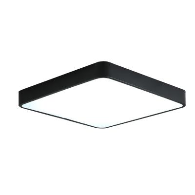 China Modern Diameter 30cm 40cm 50cm 36w 24w Ceiling Lamp Led Lighting Outdoor Mounted Led Light by Lumiaria for sale