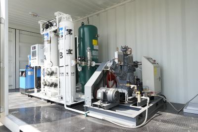 China O2 Maker Industrial PSA Oxygen Generator Pressure 0.6-0.8MPa for sale