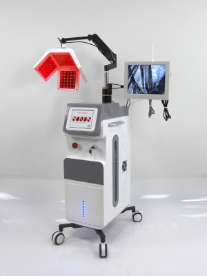 Chine 5 dans 1 équipement de salon de beauté de thérapie de diode de la machine 650nm de croissance de cheveux de laser à vendre