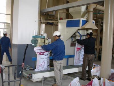 China fabricante de madera de la pelotilla del serrín del 12mo molino industrial de la pelotilla en venta