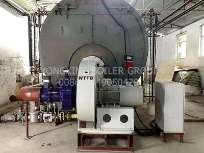 China Rückholfeuer-Rohr-Kessel-Warmwasserspeicher-Ofen des erdgas-drei für Hotel-Schule zu verkaufen