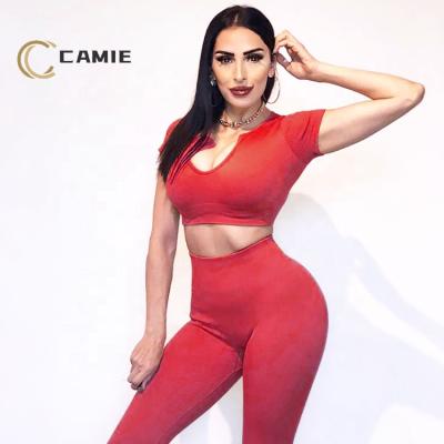 China Wholesale Pashasunshine 2021New Breathable Sport Suit Women Activewear Gym Clothing Yoga Workout Set U Neck Bra Vest Gaiters Set for sale