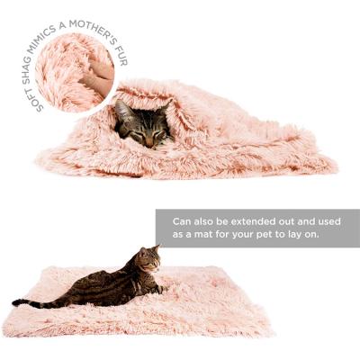 China Custom Washable Soft Plush Pet Blanket Puppy Design Removable Fluffy Warm Luxury Double Side Bedding Blanket for sale