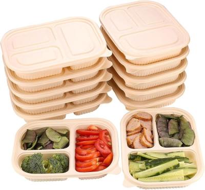 China Food Grade Compostable Biodegradable Custom Packaging Biodegradable Salad Containers for sale