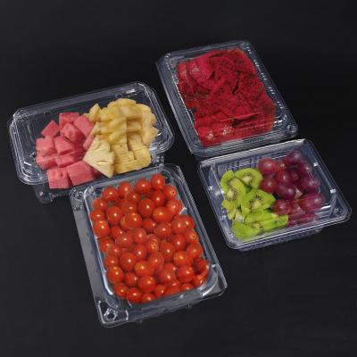 Chine Un bol en plastique jetable avec couvercle pour salade en PET transparent à vendre