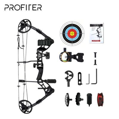 China Aluminum Alloy Manufacturer Wholesale Shooting Sports High Speed Archery Compound Bow For Strength Training for sale