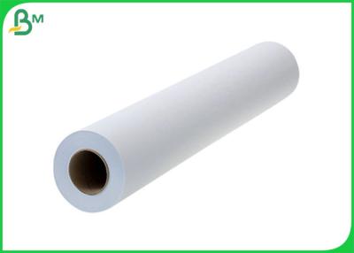Cina 100 500 Rolls 3