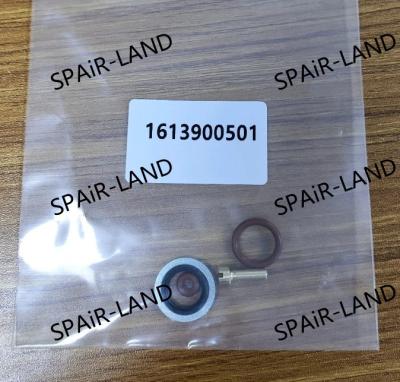 China Atlas 1613900501 Industrial Compressor Repair Kit at Discounted Price Essential Parts for Air Compressors for sale