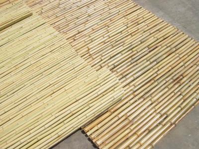 China Natural Bamboo Material Painted Bamboo Fence Panels Rolled Bamboo Fence Privacy Garden Border for sale