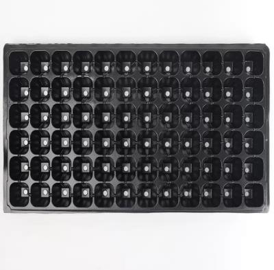 China Plastic Seedling Tray, Nursery Germination Tray for Plants & Seed Starting for sale