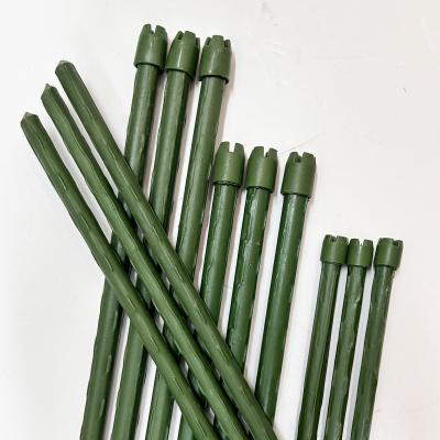 China Garden Plant Stakes for Growing Climbing Plants, Potted Plants, Tomatoes, Trees for sale